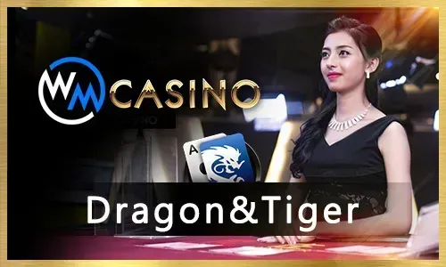 JILIBB Live Casino